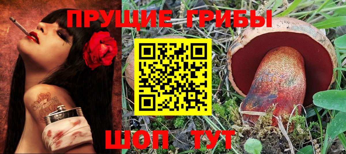 Псилоцибиновые грибы MAGIC MUSHROOMS  Псилоцибиновые грибы Cubensis  Волгодонск  Вход с VPN 