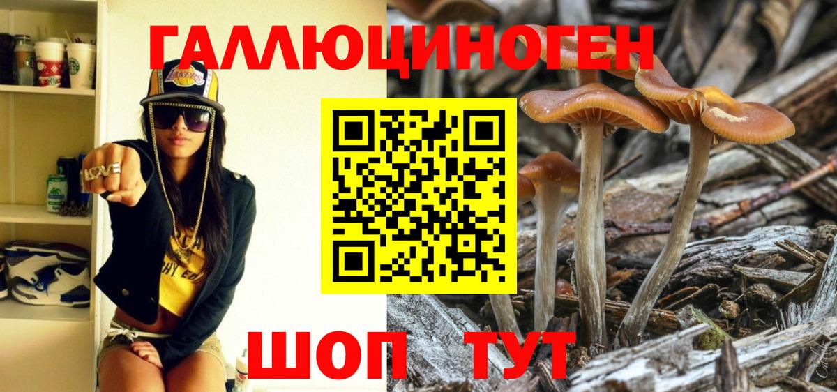 Псилоцибиновые грибы Psilocybe Волгодонск